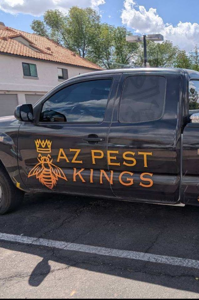 AZ Bee Kings project